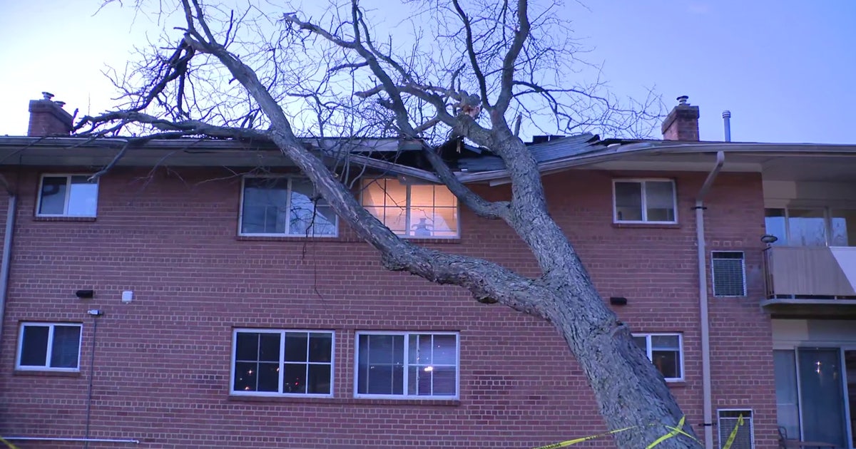 Storm cleanup underway across the DMV after winds topple trees, power ...