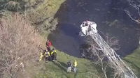 Father, 2 children escape car that plunged into pond in Frederick: officials