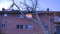 Storm cleanup underway across the DMV after winds topple trees, power lines