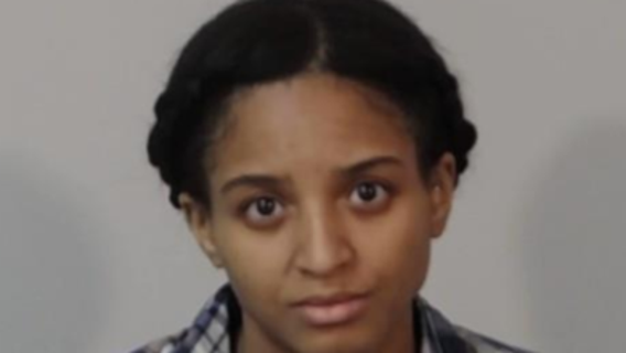 Virginia woman accused of ramming into another car, stabbing driver in road rage incident