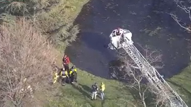 Father, 2 children escape car that plunged into pond in Frederick: officials