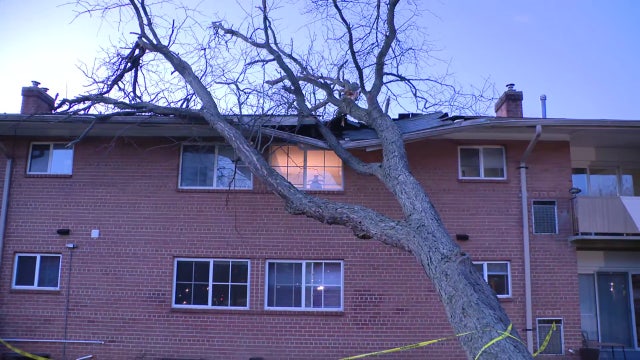 Storm cleanup underway across the DMV after winds topple trees, power lines