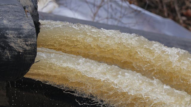 Officials warn Potomac sewage spill damage may last a decade