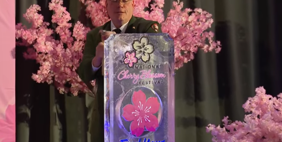 National Cherry Blossom Festival March 2026: Forecast, dates, peak