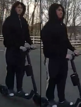 Suspect wanted for multiple sexual assaults on trail in Woodbridge, police say