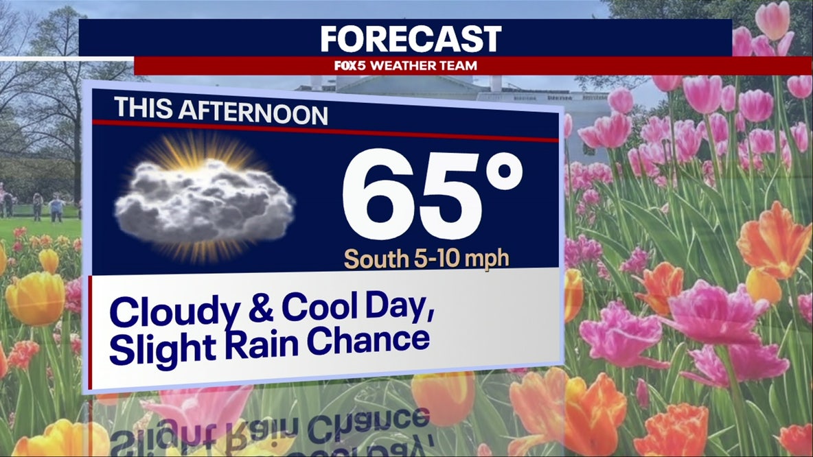 DC weather: Cloudy, cool Tuesday with a slight chance of showers