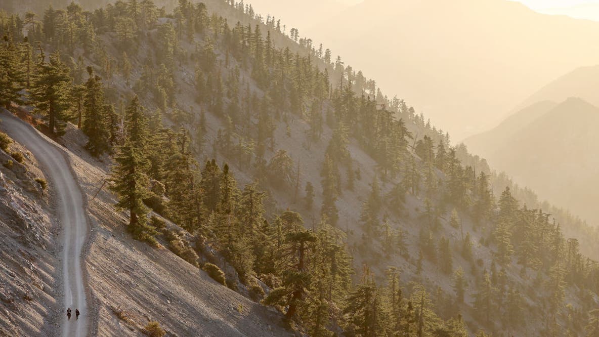 US Forest Service leaving DC, moving headquarters to Utah