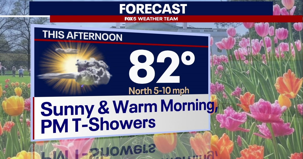 DC weather: Sunny, warm Friday with isolated shower chances | FOX 5 DC