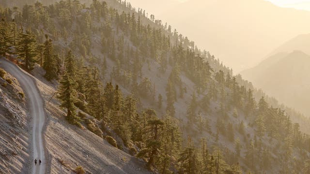 US Forest Service leaving DC, moving headquarters to Utah