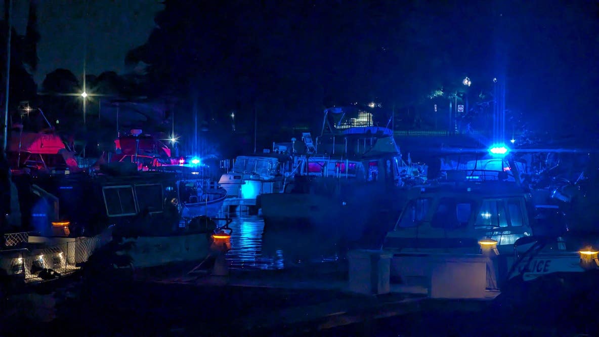 Man in critical condition after water rescue in Southwest DC