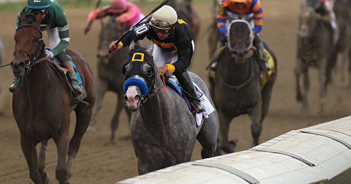 Napoleon Solo wins 151st Preakness Stakes at Laurel Park