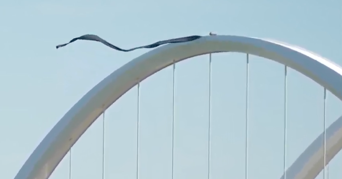 Protester Scales Frederick Douglass Bridge, Shuts Down D.C. Traffic for Second Time — image 2