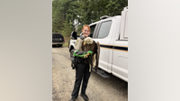 Injured bald eagles rescued in Stafford County