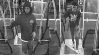 Woman stabbed, carjacked after waking up to find person in passenger's seat: MPD