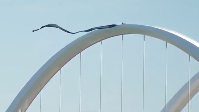 Person on Frederick Douglass Bridge, bridge close as police respond