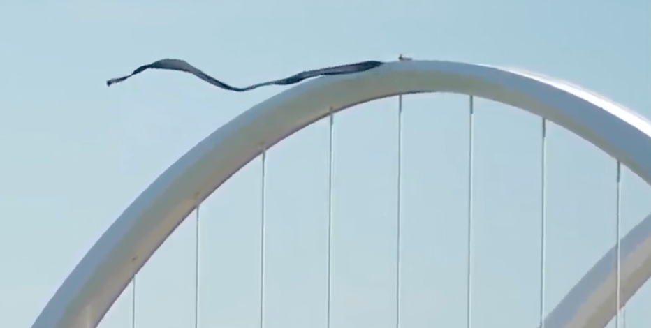 Person on Frederick Douglass Bridge, bridge close as police respond