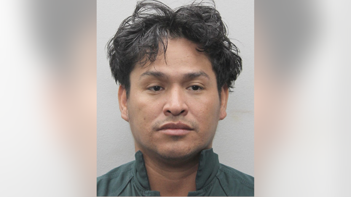 Fairfax County suspect in custody after attempted abduction and exposure