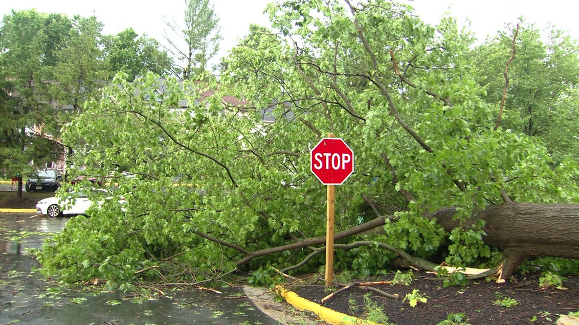 Residents across DMV wake to storm damage, power outages as more thunderstorms threaten Tuesday