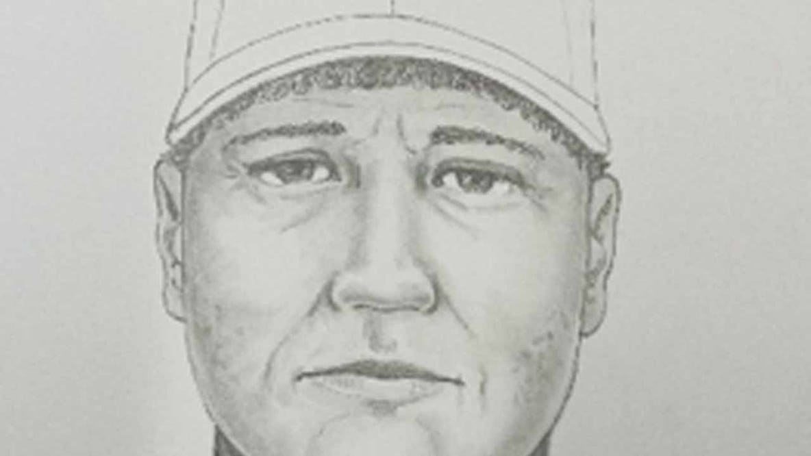 Suspect in custody after Fairfax County attempted abduction and indecent exposure incidents