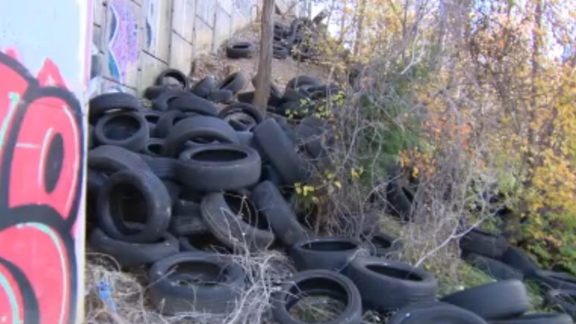 New task force targets illegal dumping across Prince George’s