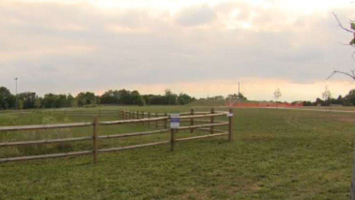 Sister helps stop attempted abduction of 4-year-old girl at Dean Park in Manassas