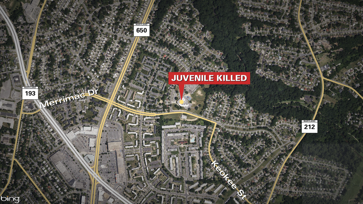 Boy shot and killed at Langley Park Community Center: Police