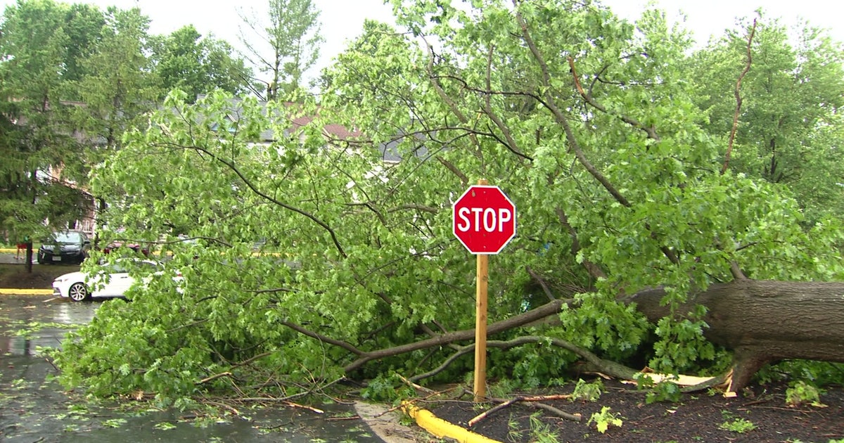 Residents across DMV wake to storm damage, power outages as more thunderstorms threaten Tuesday