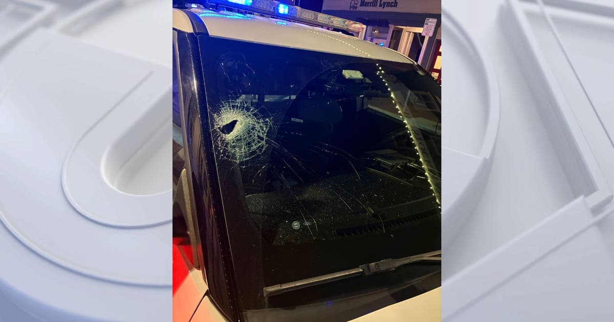 Guitar smashes Leesburg police officer's windshield; police search for suspect