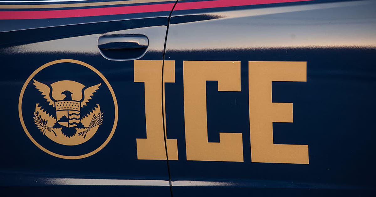 Viral video shows ICE agent pointing gun at driver during Falls Church encounter