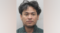 Fairfax County suspect in custody after attempted abduction and exposure