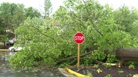 Cleanup continues across DMV after storm damage, outages as more storms threaten