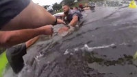 WATCH: Driver rescued after vehicle crashes into Fairfax County pond