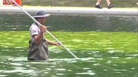 Reflecting Pool looks 'like vomit,' visitors say; crews continue cleaning job