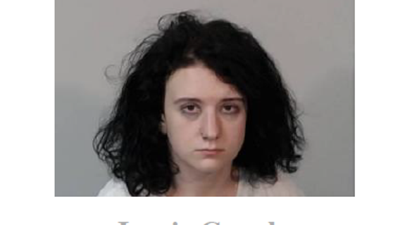 Minor hit-and-run leads police to foil teenagers' alleged plot to murder parents