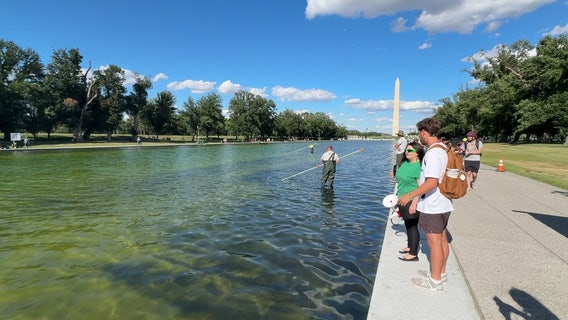 Trump says 6 arrested, 7 cited in alleged Reflecting Pool vandalism