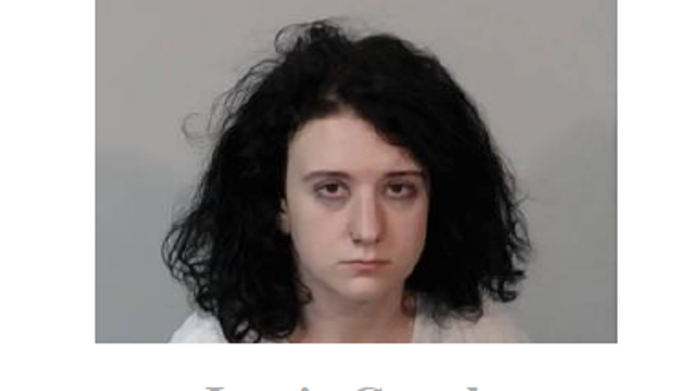 Minor hit-and-run leads police to foil teenagers' alleged plot to murder parents