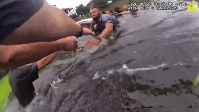 WATCH: Driver rescued after vehicle crashes into Fairfax County pond
