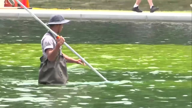 Reflecting Pool looks 'like vomit,' visitors say; crews continue cleaning job