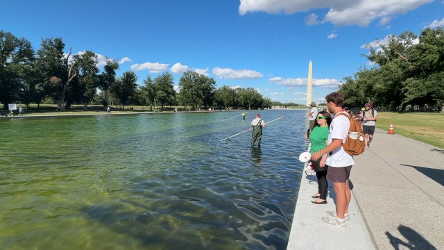 Trump says 6 arrested, 7 cited in alleged Reflecting Pool vandalism
