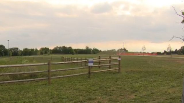 Sister helps stop attempted abduction of 4-year-old girl at Dean Park in Manassas