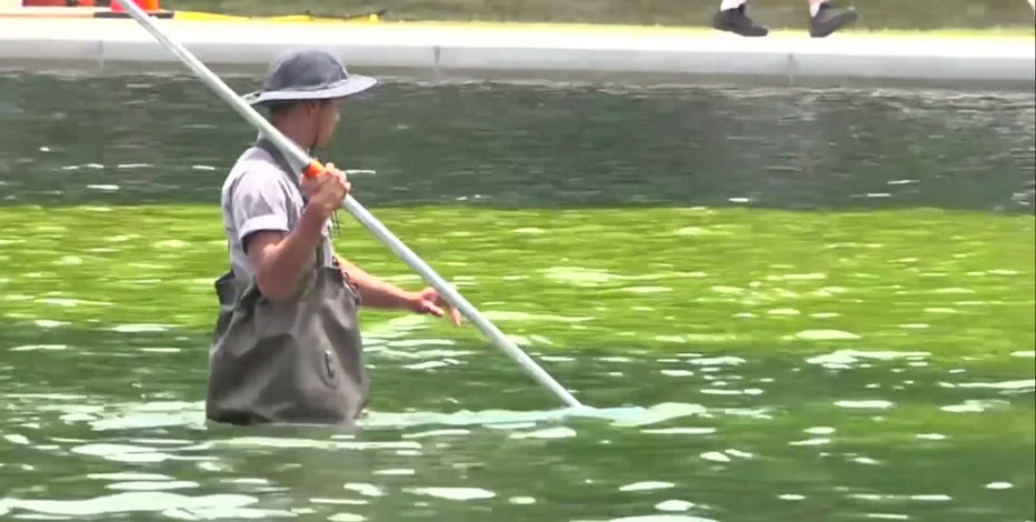 Reflecting Pool looks 'like vomit,' visitors say; crews continue cleaning job