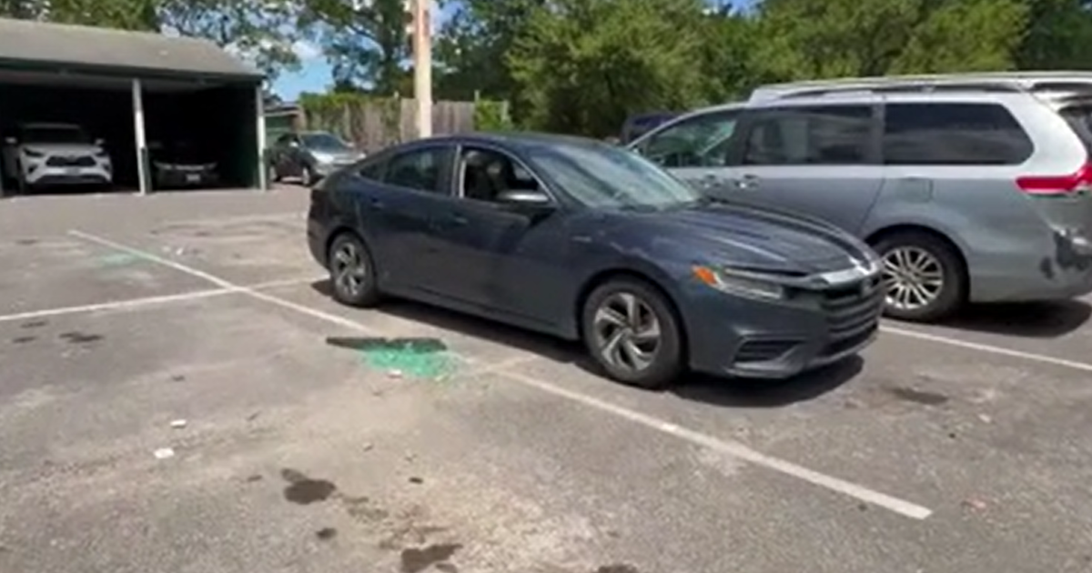 Dozens of cars vandalized in Maryland apartment parking lot