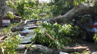 Severe overnight storms leave trail of damage and power outages across DMV