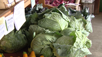 Maryland shoppers turn to local farms amid Cyclospora outbreak
