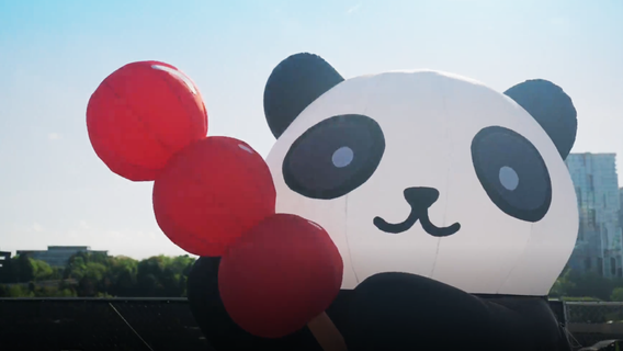 Panda Fest brings 90-plus Asian food vendors and panda attractions to DC