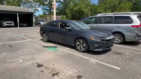 Dozens of cars vandalized in Maryland apartment parking lot