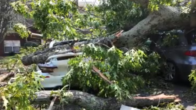 Severe overnight storms leave trail of damage and power outages across DMV