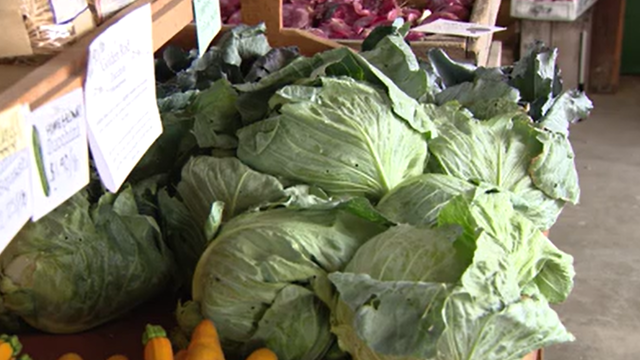 Maryland shoppers turn to local farms for produce amid Cyclospora outbreak