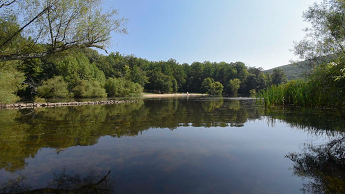 Portions of Maryland state park reopen after 2 rabid beaver attacks