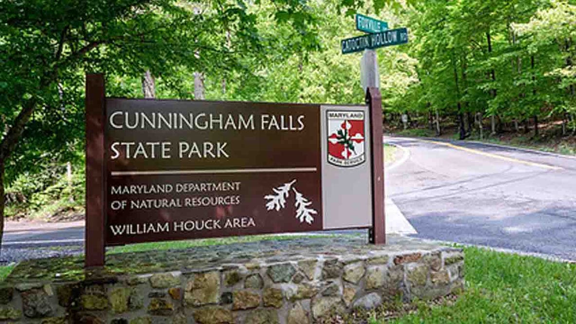Second beaver attack prompts DNR to close additional areas of Maryland state park
